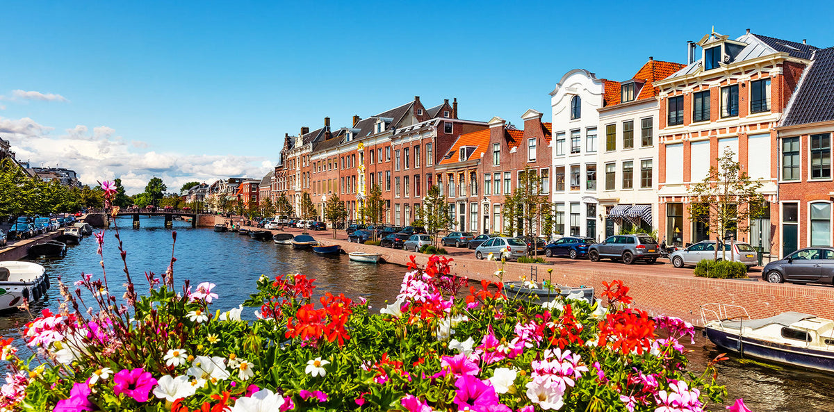 Torten nach Haarlem bestellen!